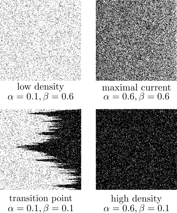 Typical-Configurations
